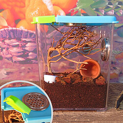 2 Pcs Reptile Insecte Araignée Incubation Boîte Amphibiens Nourrir Boîte Conteneur