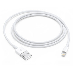 Câble Lightning vers USB Charge & Synchronisation d'origine Apple 1m - Blanc