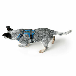 Avis Harnais pour Chien Hunter Maldon Up Bleu 31-49 cm