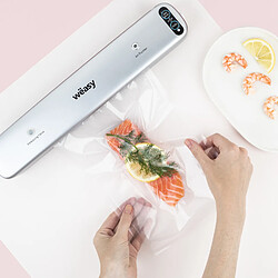 Acheter WEASY SIL85 APPAREIL DE MISE SOUS VIDE ALIMENTAIRE