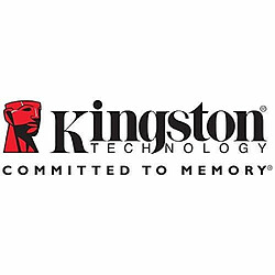 Mémoire RAM Kingston KTH-PL432E/32G