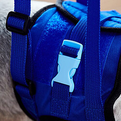 Universal Aide pour chienAide pour chienFaisceau de levage réglable pour les pattes arrière Animaux de compagnie Support Bretelle Laisse de traction