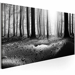 Paris Prix Tableau Imprimé Forest After Rain Narrow 50 x 150 cm 