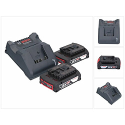 Bosch GAL 18V-20 Chargeur 10,8 - 18V - 2A + 2x Batteries GBA 18V - 2,0Ah (1600Z00036) (2607226281)