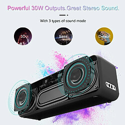 Acheter Yonis Enceinte Bluetooth Waterproof 30W Puissance Autonomie 8H IPX7