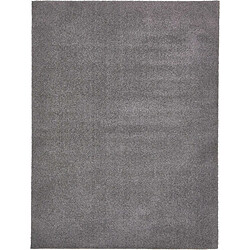 Hadorn Tapis shaggy 305x239 gris Luzern