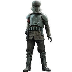 Hot Toys Star Wars : Le Mandalorien - Figurine de soldat de transport 1/6 