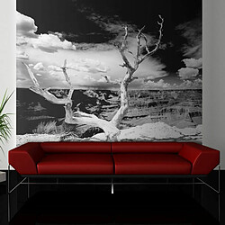 Paris Prix Papier Peint Arbre au Grand Canyon, Arizona 154 x 200 cm 