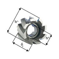 Forum Fraise cylindrique en bout, type NF, en acier à coupe rapide à 5% de cobalt, sans revêtement, Ø x Larg. : d1 - js14 x b1 - k16 : 50 x 36 mm