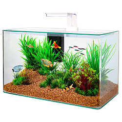 ZOLUX Kit aquarium Aqua clear 50 Blanc.