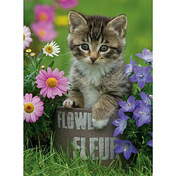 Ludendo Puzzle 100 pièces Ravensburger - Chaton parmi les fleurs