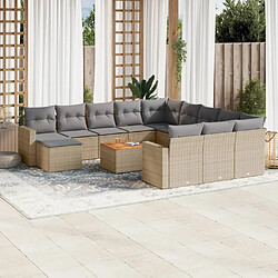 vidaXL Salon de jardin et coussins 13 pcs mélange beige résine tressée 