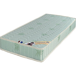 Provence Literie Lot de 2 Matelas + Alèses 100x200 x 19,5 cm - Soutien Ferme - Tissu a l'Aloe Vera - Mousse Poli Lattex Haute Résilience - hypoallergénique