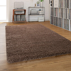 Paco-Home Tapis Poils Longs Pour Salon Et Chambre, Shaggy Uni Marron