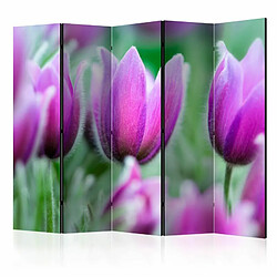 Paris Prix Paravent 5 Volets Purple Spring Tulips 172x225cm