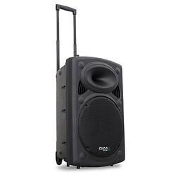 Ibiza light Sono portable + 2 micros Ibiza Sound 800W