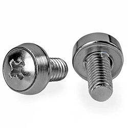 StarTech.com Paquet de 100 vis de montage M6 x 12 mm Screws & Bolts