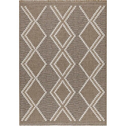 Jardindeco Tapis intérieur extérieur aspect jute marron Tijuana 9048 230 x 160 cm. Tapis intérieur extérieur aspect jute marron Tijuana 9048 230 x 160 cm