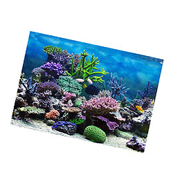 Acheter fond d'aquarium, affiche adhésive aquarium décor de mur de réservoir de poissons corail xl