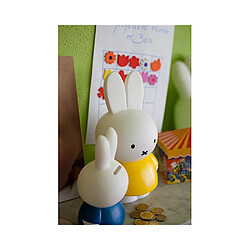 Acheter Ac-Deco Tirelire Miffy - Lapin - 26 cm - Jaune