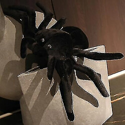 Universal Spider Black Little Spider Doll Plush Toy Gift Orellow ourse¼lï¼ ‰