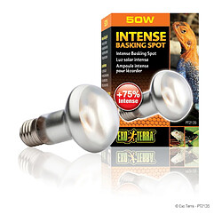 Exoterra Lampe Intense Baskingspot 50W - Exo Terra