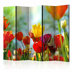 Paris Prix Paravent 5 Volets Spring Tulips 172x225cm