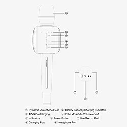 Acheter Universal Joueurs de karaoké sans fil bluetooth 5.0 microphone haut-parleur enregistrement chant en direct microphone rechargeable TWS duo | microphone