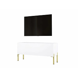 3XELIVING Meuble TV en couleur Blanc mat avec pieds droits en or, D: l : 100 cm, H : 52 cm, P : 32 cm