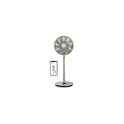 Ventilateur Duux Ventilateur sur pied connecte avec batterie et silencieux WHISPER FLEX Vert Sauge DXCF57