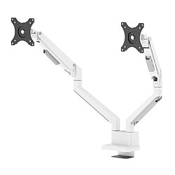 Neomounts DS70-250WH2 monitor mount / stand