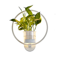 Universal Equipé d'une barre de lumière LED à trois couleurs de 36W, diamètre 11.8 * 13.8inch lumière ronde Applique murale à LED de 30cm, avec lampe murale verte de 36W à trois couleurs, lampe murale de plante verte, lampe murale d'allée, lumière ronde, ne pas expédier avec des plantes de radis vert