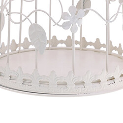 Cage en métal jardin tulipes hydroponiques chandeliers bougies thé porte-lumière n ° 1