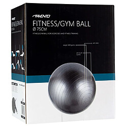 Avis Avento Ballon de fitness/d'exercice Diamètre 75 cm Argenté