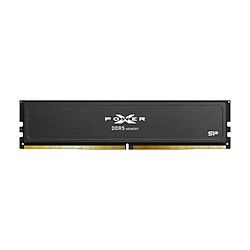 Silicon-Power Mémoire RAM Silicon Power SP032GXLWU64AFDJ 32 GB DDR5 6400 MHz cl32