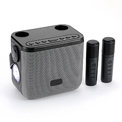 Yonis Enceinte Bluetooth 10W Puissante Avec Micro Karaoke Et Lampe LED