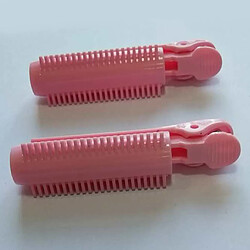 Hair Root Curler Roller Clip Salon De Coiffure Coiffure DIY Rose