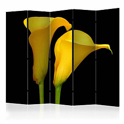 Paris Prix Paravent 5 Volets Two Yellow Calla Flowers 172x225cm