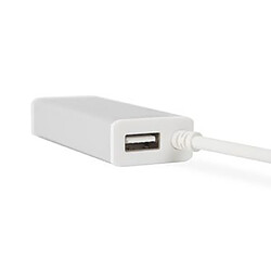 Moshi Adaptateur USB-C vers Gigabit Ethernet Argent