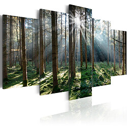 Decoshop26 Tableau toile de décoration murale impression premium en 5 parties sur châssis en bois motif Forêt de conte de fées 100x50cm 11_0017933