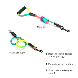 Universal Arc-en-ciel Multi Dog Belt Nylon Amovible Pet Lead Mousse Poignée 1 Lead 2 Dog Round Traction Line Fournitures pour chien | Lead