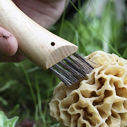 Acheter Couteau à champignon Opinel - 8 cm