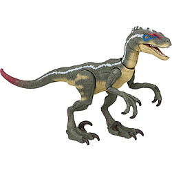 Mattel Jurassic World D Jurassic Park III Dinosaur Figure Male Velociraptor Hammond Collection, Premium Authentic 3.75 inch Tall Scale 14 Articulated Joints