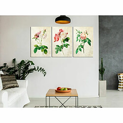 Paris Prix Tableau Imprimé Floral Trio Collection 30 x 60 cm