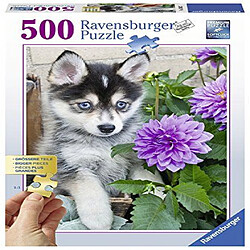 Ravensburger - 136827 - Puzzle ``Charmant Husky`` 500 Pièces