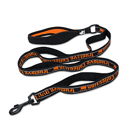 Universal Ceinture en nylon pour animaux de compagnie anti-explosion pour chats et chiens Petit voyage Cross-Walk Training Reflectant Reflectant