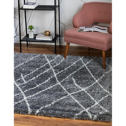 Acheter Hadorn Tapis shaggy 125x125 Gris foncé Lachen Fence