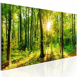 Paris Prix Tableau Imprimé Green Magic 50 x 150 cm 