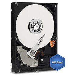 Western Digital WD Blue Kit Disque dur interne Laptop Mainstream 500 Go 2,5 pouces SATA 5400 RPM 7mm