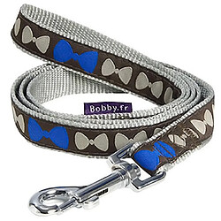 Bobby Girly Laisse pour Chien Bleu Taille XS